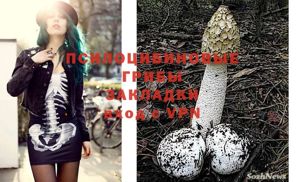 спайс Козловка