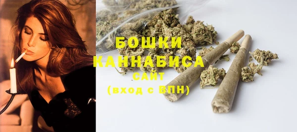 шишки Коряжма